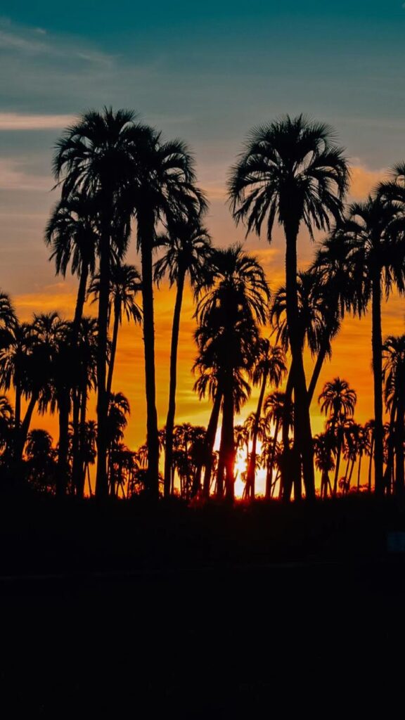 192e51daa67ad5ddc03c5d9853c121cd