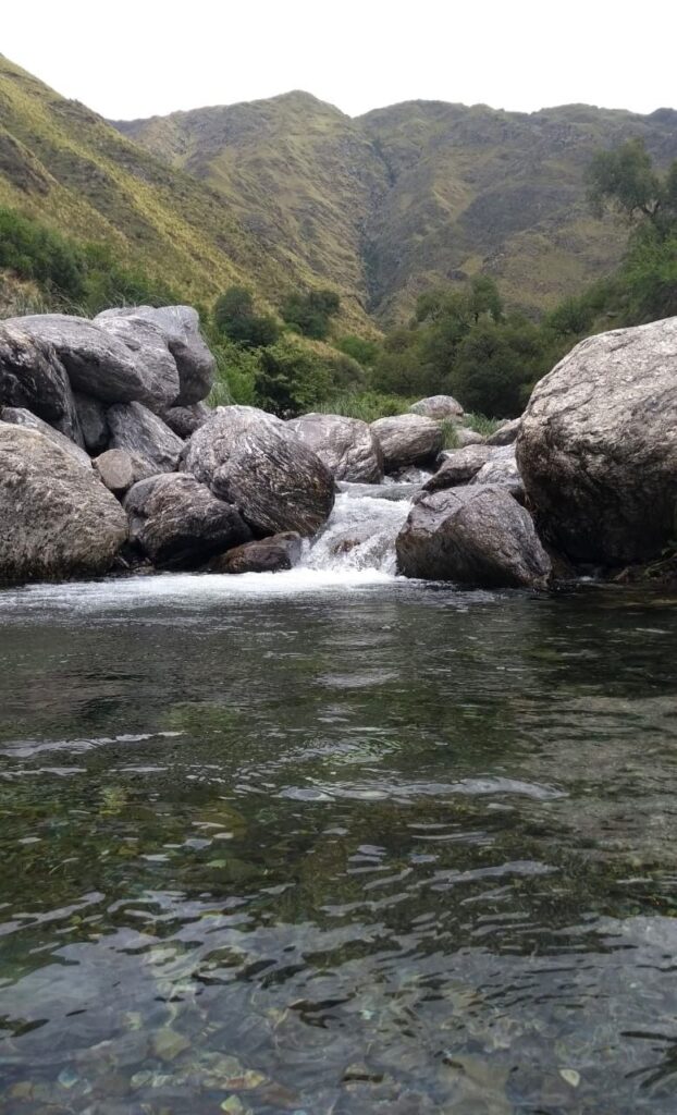 3136e1dae3d204334d94bb656f0ffa63