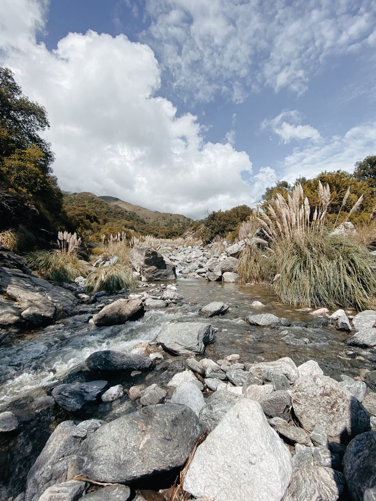 6e4f70abcbc0b555d824dc1abd50164e