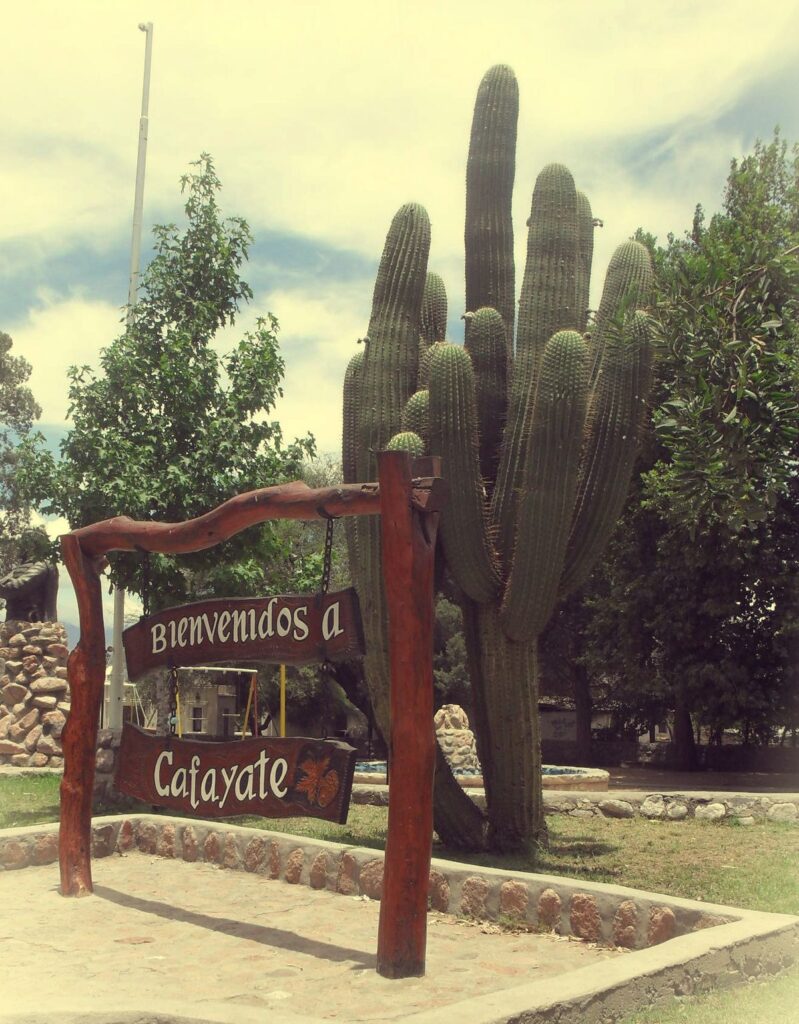 6eb969c9e1adb7314bcb3f9a871a7908