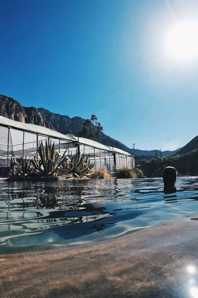 79e4e3469200bed28e226d0512ace606