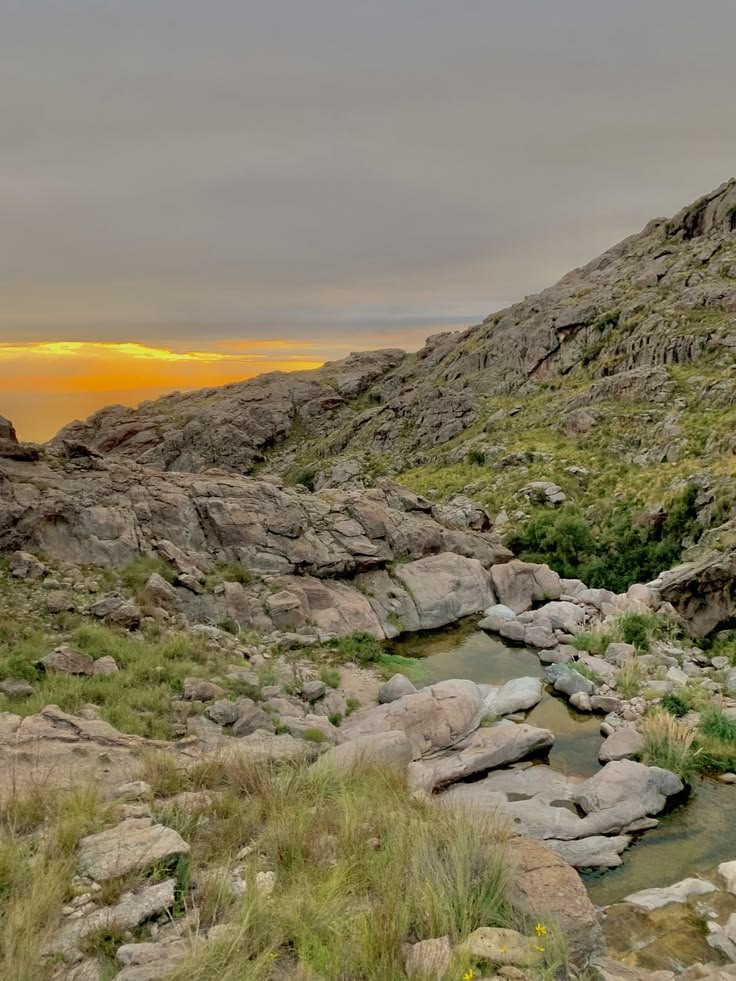 8beb21542aee799d701b1cf85f19fe46