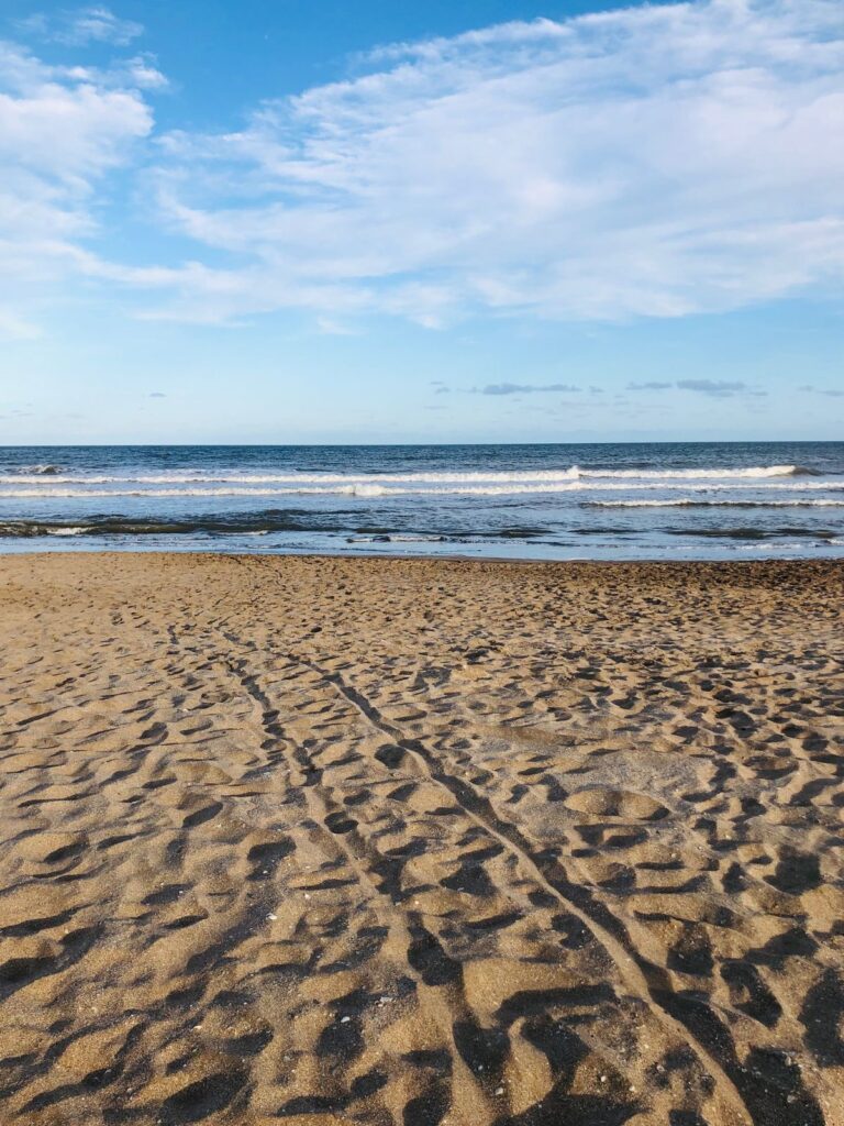 acb773b1b7d419fee331faecd514df9f