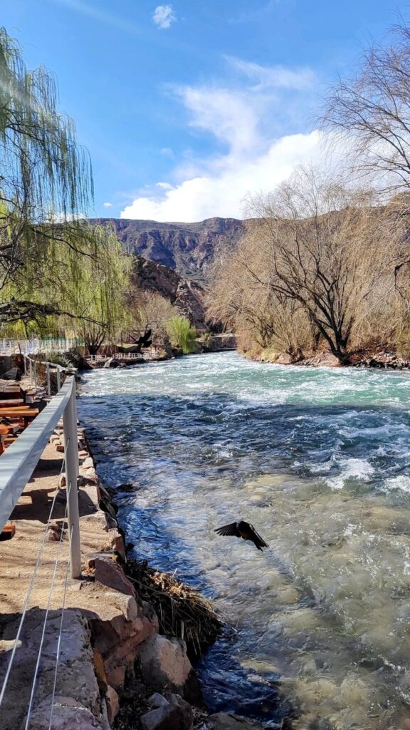 aeaee631479bd27ea6a42525217e0dd2