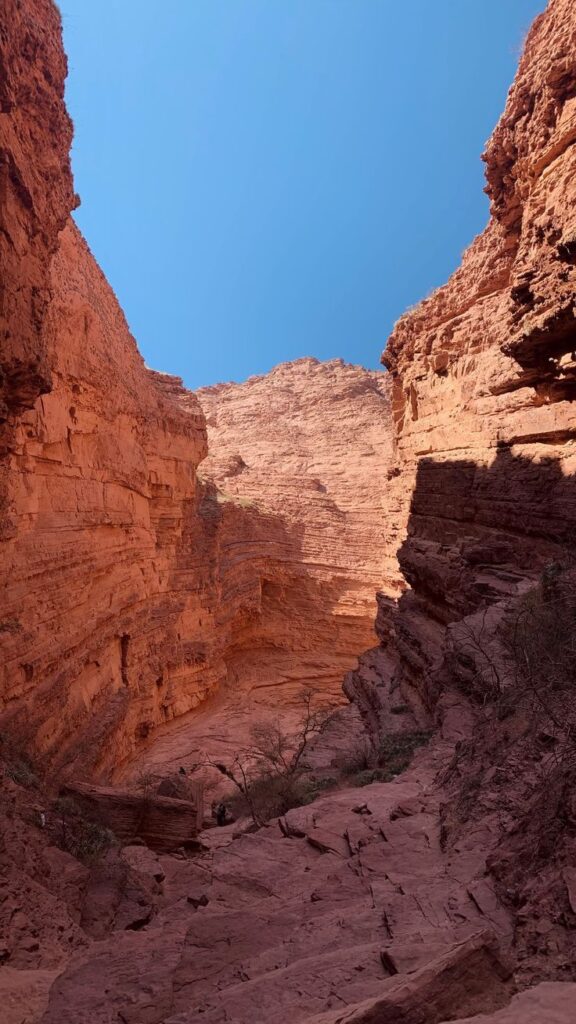 bbcf0dfe6ced619168d8ecc7bb6e3db9