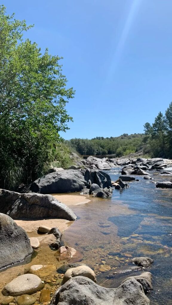 c25335ee70e838c48c9c5a245ac3b5a4