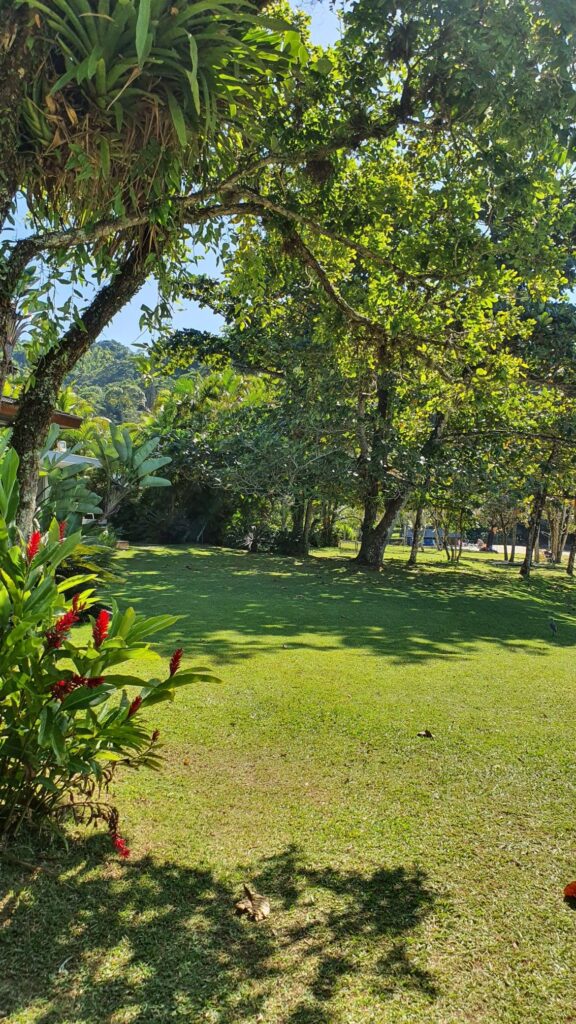 e1407938d3023d8e0abb0007eb81407d