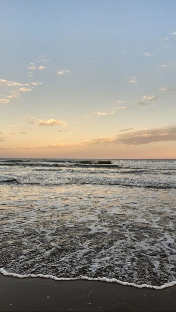 e31b1ee929181d7d6d5ed6a615541471