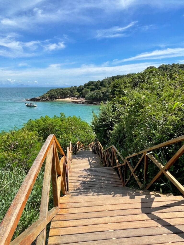 fcf659521946e464b0946a4600b084e1